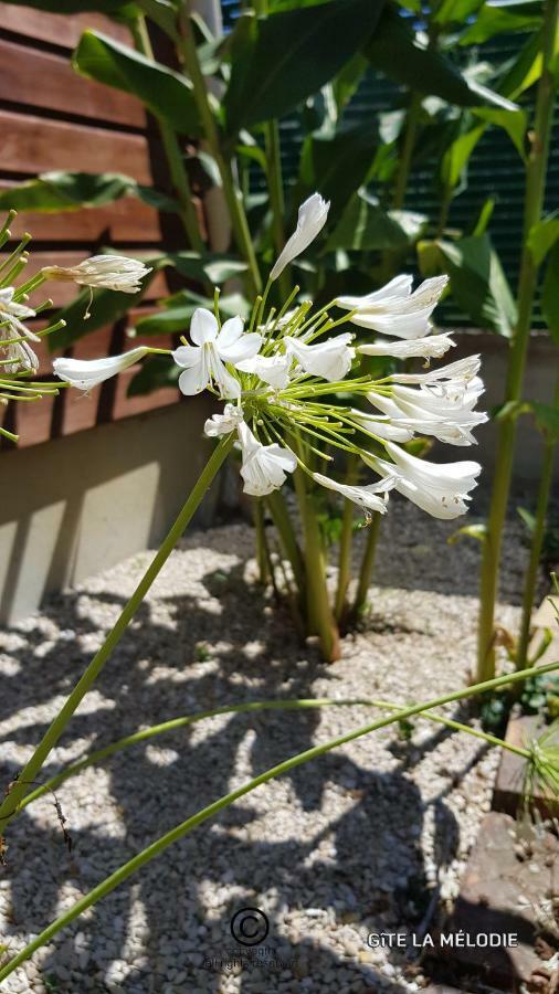 Gite La Melodie Longueville  エクステリア 写真